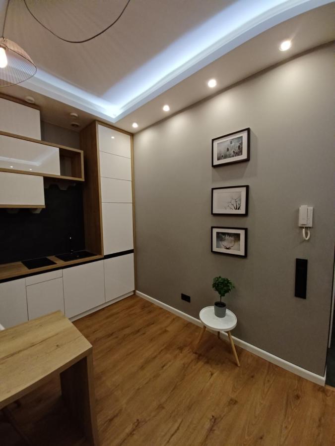 Apartament Piotrkowska 37 Studio Lodž Exteriér fotografie
