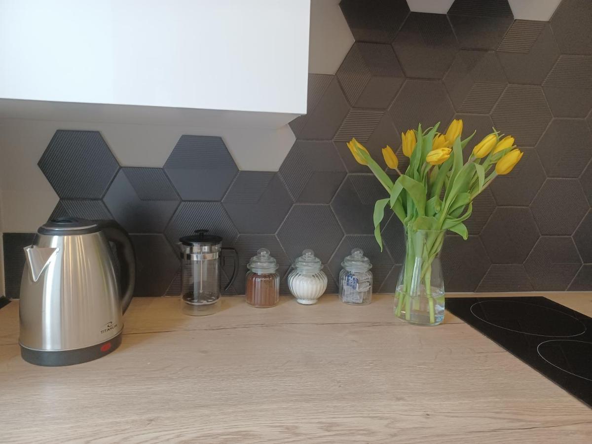 Apartament Piotrkowska 37 Studio Lodž Exteriér fotografie