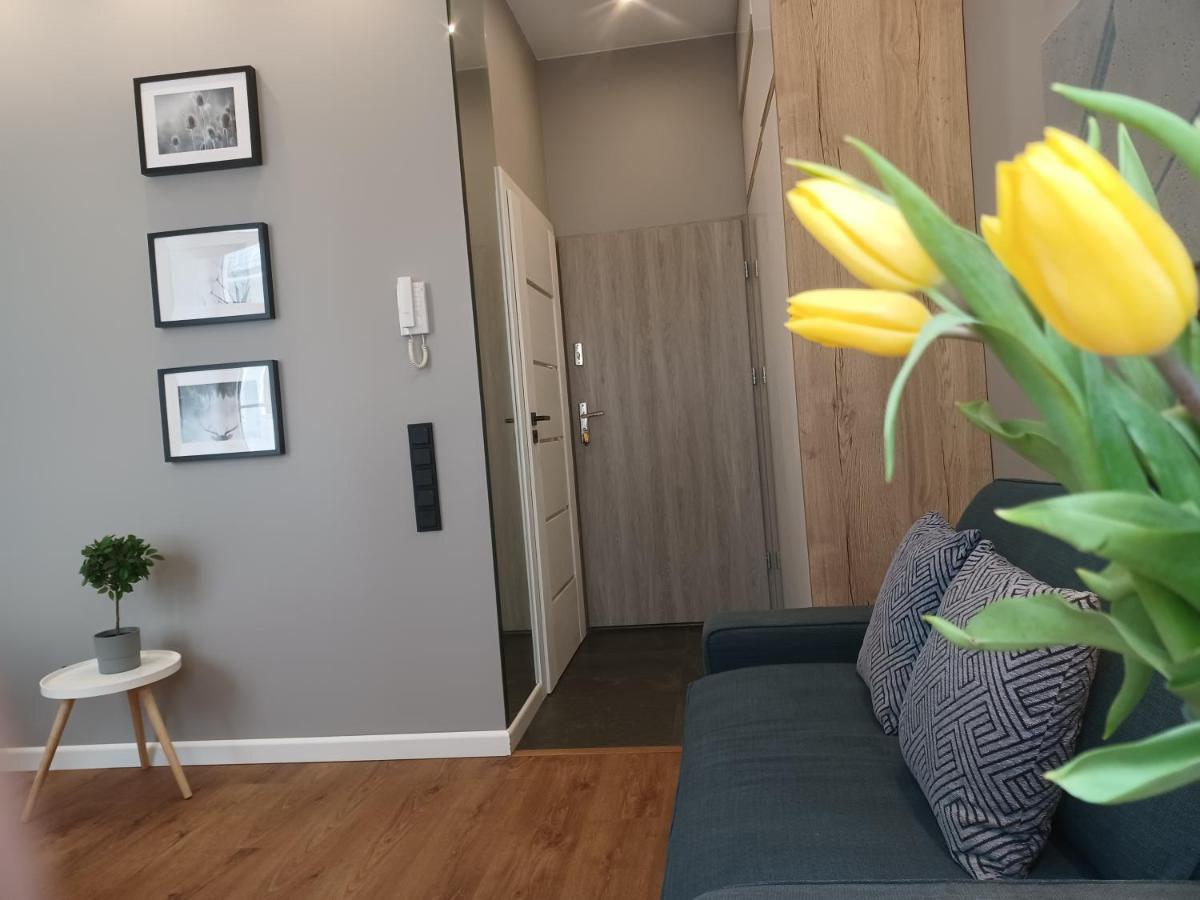 Apartament Piotrkowska 37 Studio Lodž Exteriér fotografie